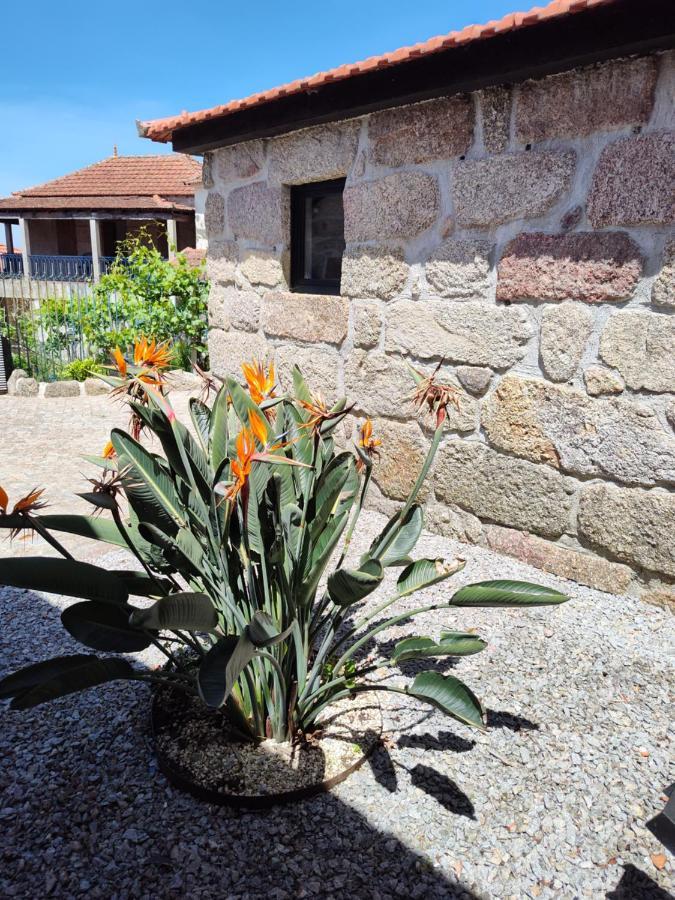 Casas Do Arrabalde Villa Amarante Ngoại thất bức ảnh